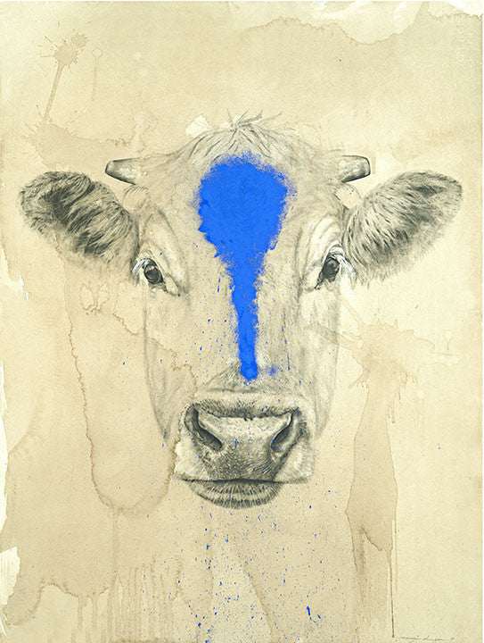 Blue Cow