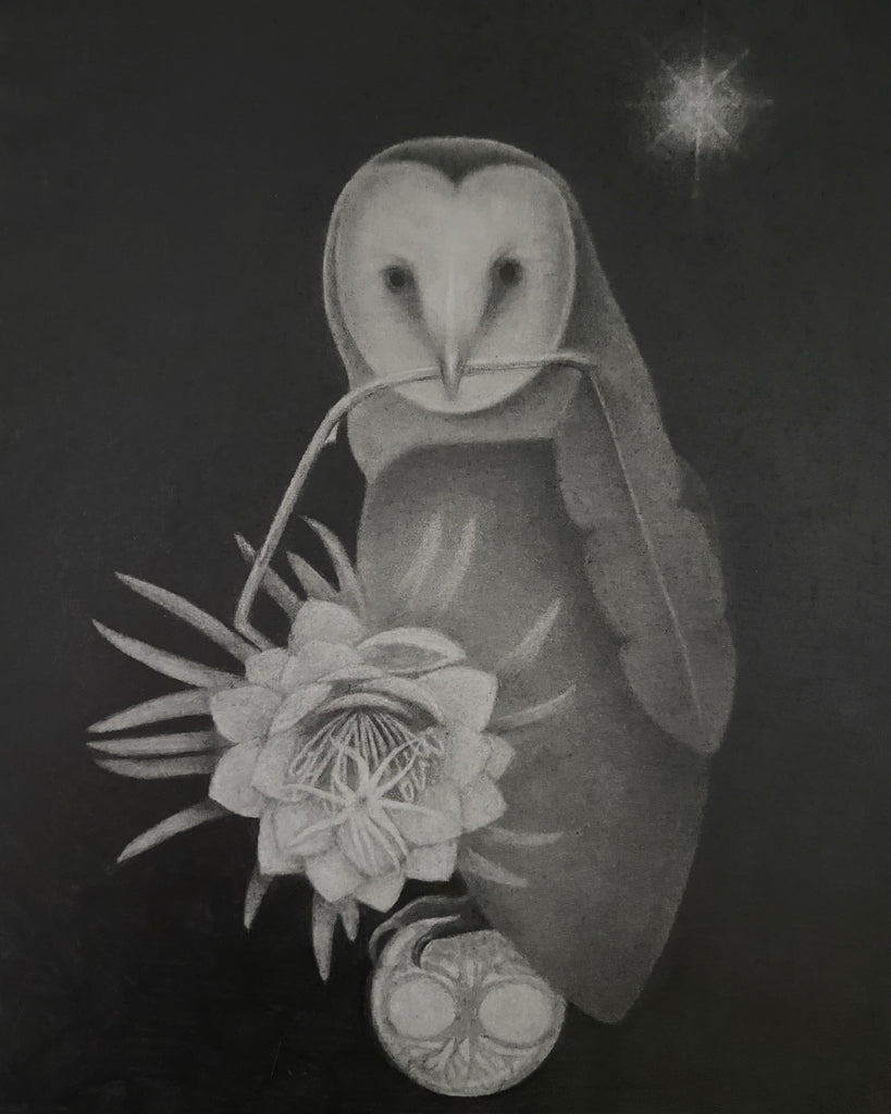 Owl bringing Cereus