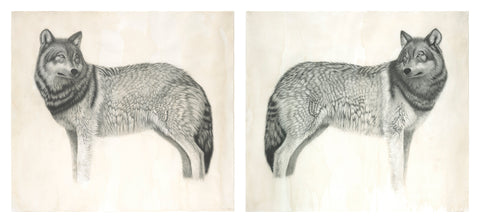 Wolf Diptych