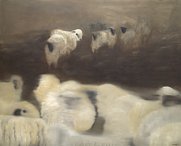 Sheep 1