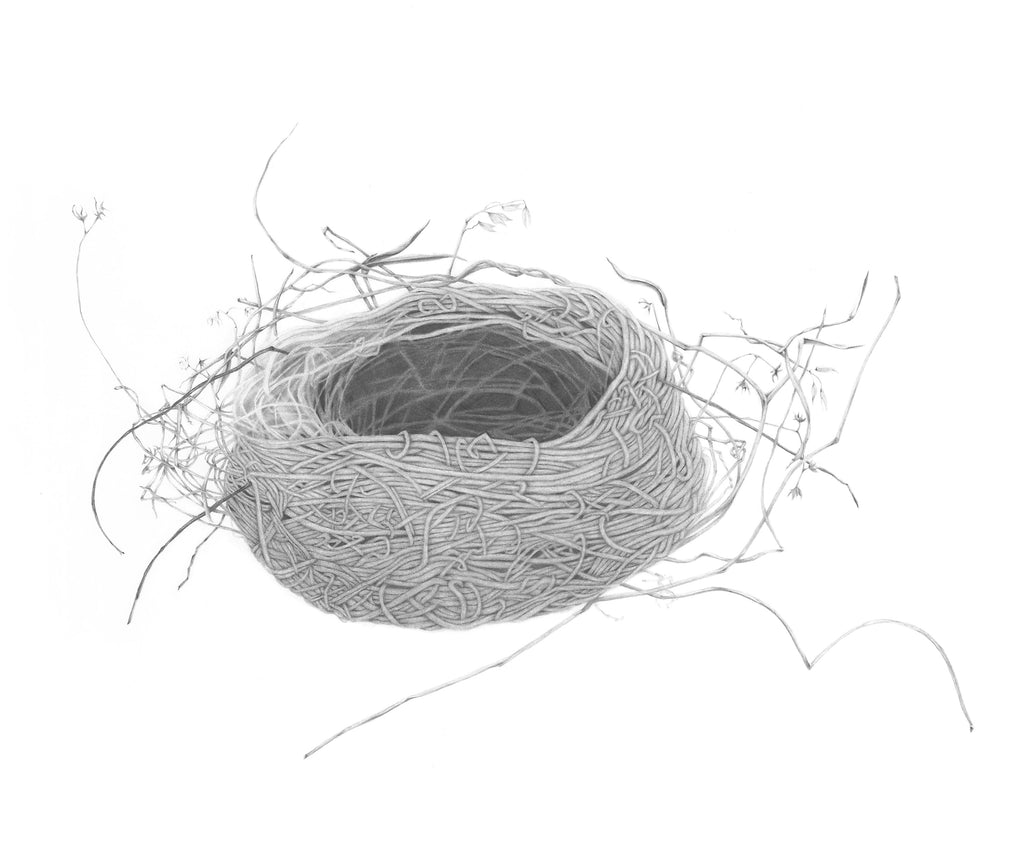 Nest