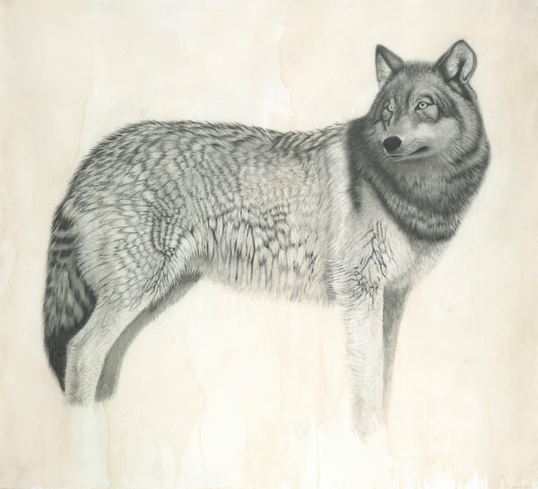 Wolf Diptych